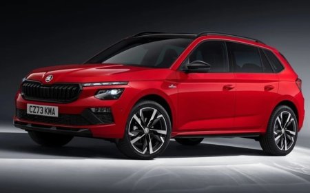 Skoda Kamiq Alınır mı ? Skoda Kamiq Kullanıcı Yorumları ?