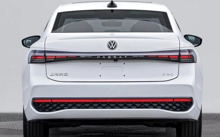 Passat 1.6 TDI BlueMotion Kronik Sorunları ?