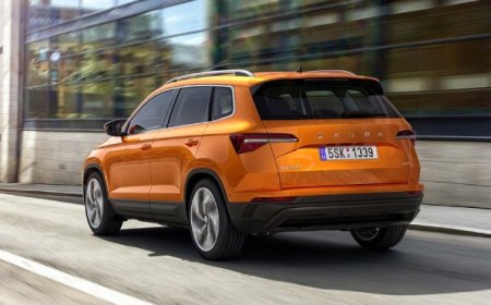 Skoda Karoq Kullanıcı Yorumları - Skoda Karoq Alınır mı?